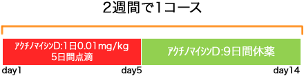 婦人科 絨毛性疾患 ACT-D療法