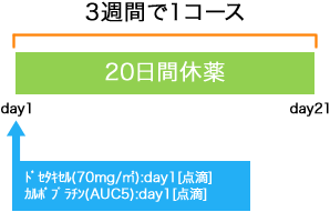 婦人科 卵巣癌 DC療法