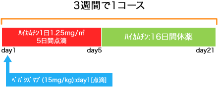 婦人科 卵巣癌 ハイカムチン+BEV療法