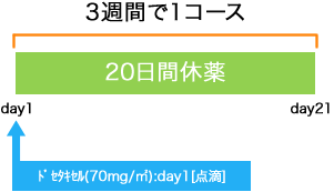 婦人科 卵巣癌 monthly Docetaxel療法