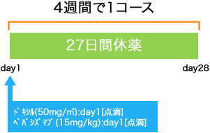 婦人科 卵巣癌 monthly Doxil BEV療法