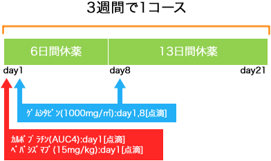 婦人科 卵巣癌 monthly GEM+CBDCA+BEV療法