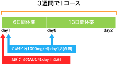 婦人科 卵巣癌 monthly GEM+CBDCA療法