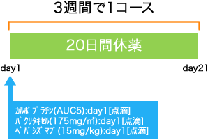 婦人科 卵巣癌 monthly PTX+CBDCA+BEV療法