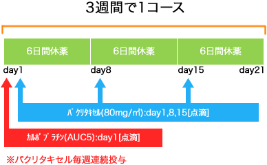 婦人科 卵巣癌 wPaclitaxel+3w毎CBDCA療法