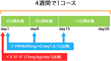 婦人科 卵巣癌 weekly PTX+BEV療法