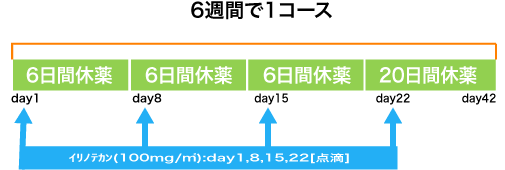 婦人科 子宮頸癌 weekly CPT-11療法