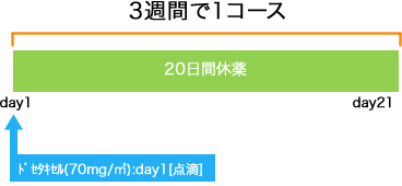 婦人科 子宮体癌 monthly Docetaxel療法