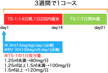 外科 大腸癌 アバスチン+SOX療法