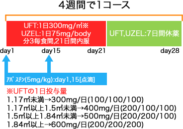 外科 大腸癌 アバスチン+UFT/UZEL療法