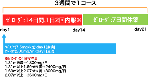 外科 大腸癌 アバスチン+XELIRI療法