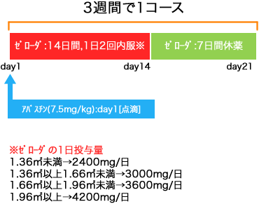 外科 大腸癌 アバスチン+ゼローダ療法