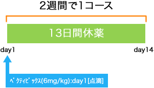 外科 大腸癌 ベクティビックス単剤療法