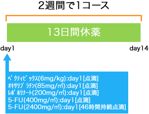 外科 大腸癌 ベクティビックス+m-FOLFOX6療法