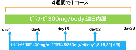 外科 大腸癌 ビラフトビ+アービタックス療法