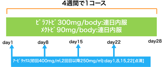 外科 大腸癌 ビラフトビ+アービタックス療法