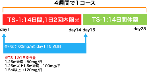 外科 大腸癌 IRIS療法