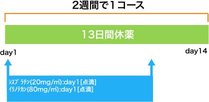 外科 胃癌 CDDP+CPT-11療法