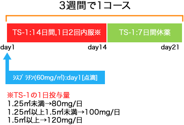 外科 胃癌 CDDP+TS-1療法