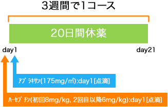 外科 胃癌 ハーセプチン+アブラキサン療法