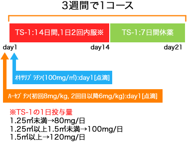 外科 胃癌 ハーセプチン+SOX療法