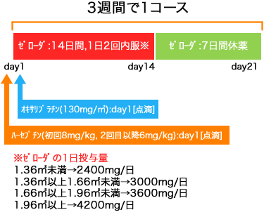 外科 胃癌 ハーセプチン+XELOX療法