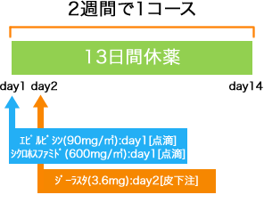 外科 乳癌 ddEC療法