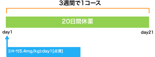 外科 乳癌 エンハーツ(5.4)療法