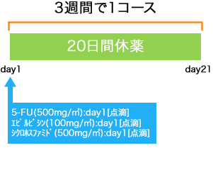 外科 乳癌 FEC(100)療法