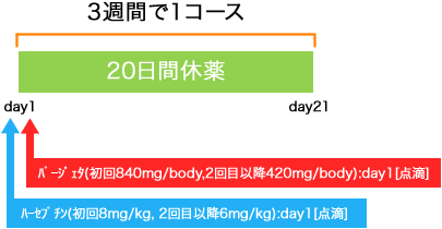 外科 乳癌 ハーセプチン+パージェタ療法