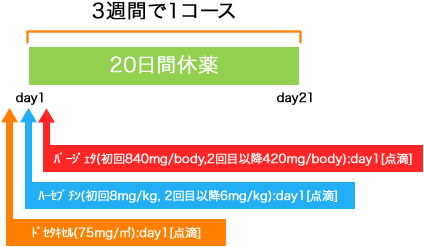 外科 乳癌 ハーセプチン+パージェタ+DTX療法