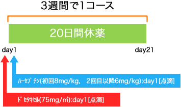 外科 乳癌 ハーセプチン+DTX療法