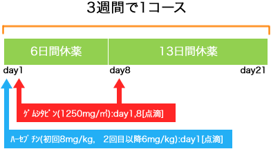 外科 乳癌 ハーセプチン+GEM療法