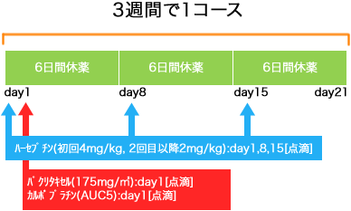 外科 乳癌 ハーセプチン+PTX+CBDCA療法