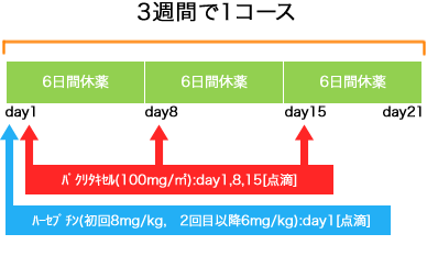 外科 乳癌 ハーセプチン+weekly PTX療法