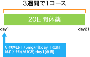 外科 乳癌 PTX+CBDCA療法