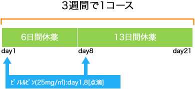 外科 乳癌 VNR単剤療法