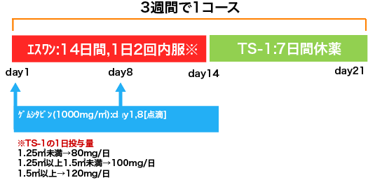 膵癌 NAC GS療法