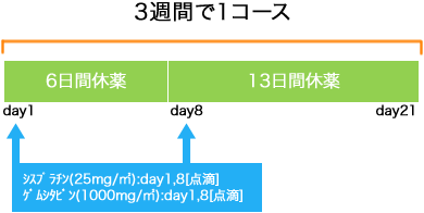 外科 胆道癌 CDDP+GEM療法