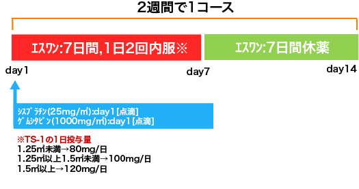 胆道癌 GCS療法