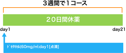 乳房外パジェット DTX(60)療法