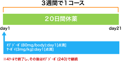 悪性黒色腫 オプジーボ＋ヤーボイ(80/3)療法