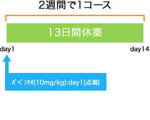 皮膚科 メルケル細胞癌 バベンチオ療法