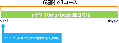 腎癌 キイトルーダ+インライタ療法