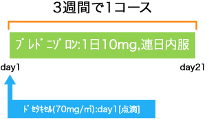 泌尿器科 前立腺癌 ドセタキセル+プレドニゾロン療法