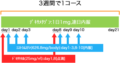 泌尿器科 前立腺癌 TED療法