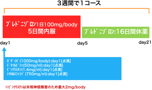 血液内科 非ホジキンリンパ腫 G-CHOP療法