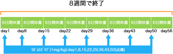 血液内科 非ホジキンリンパ腫 ポテリジオ療法