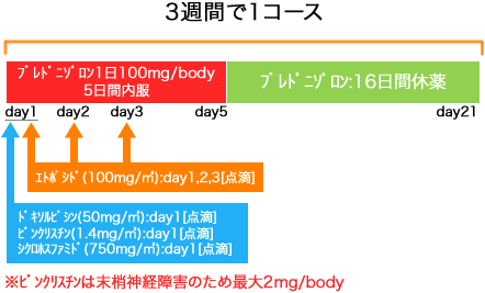 血液内科 非ホジキンリンパ腫 CHOEP療法