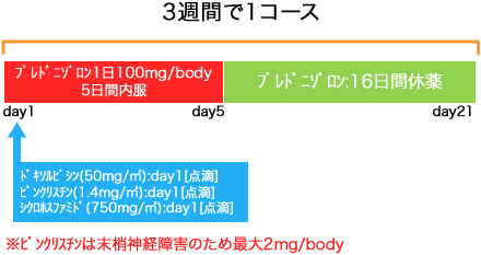 血液内科 非ホジキンリンパ腫 CHOP療法